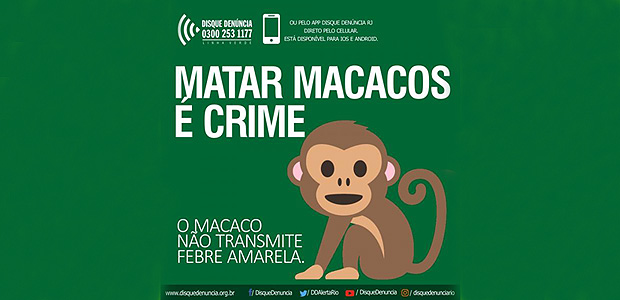 Até vacina homeopática integra rol de absurdos e boatos sobre febre amarela